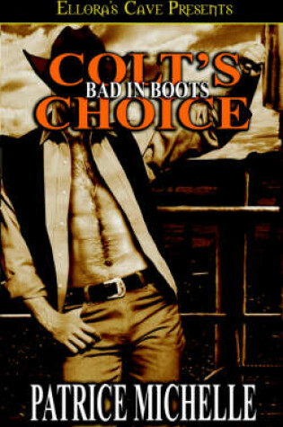 Cover of Bad in Boots