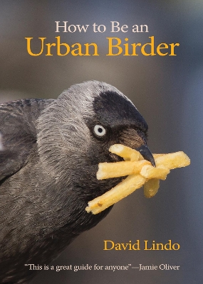 Cover of How to Be an Urban Birder