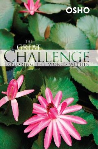 Cover of Great Challenge