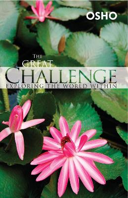 Cover of Great Challenge