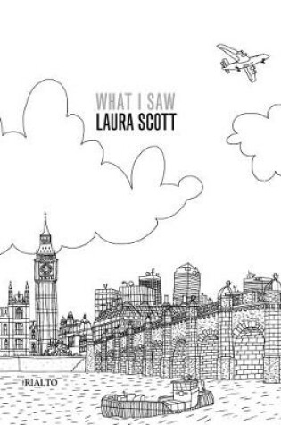Cover of What I Saw