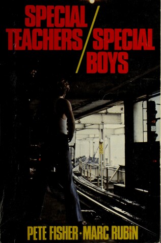 Book cover for Special Teachers C