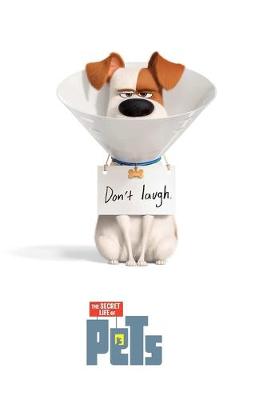 Book cover for The Secret Life of Pets