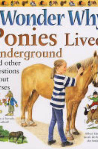 Cover of I Wonder Why Ponies Lived Underground