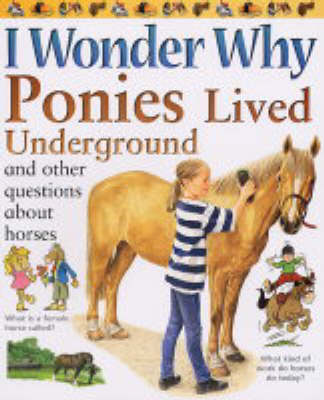 Cover of I Wonder Why Ponies Lived Underground