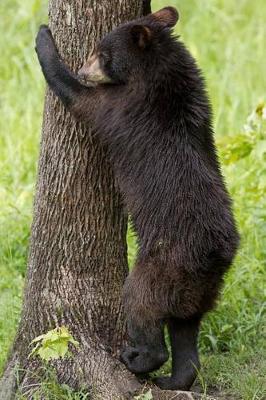 Cover of A Tree Hugging Baby Black Bear Cub Journal