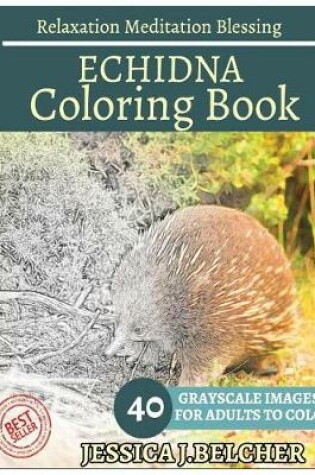 Cover of Echidna Coloring Book for Adults Relaxation Meditation Blessing