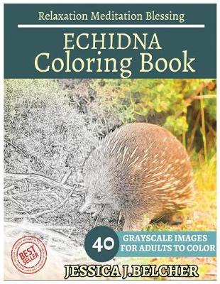 Book cover for Echidna Coloring Book for Adults Relaxation Meditation Blessing