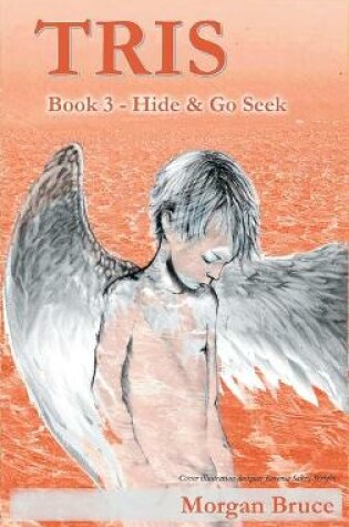 Cover of Tris 3 - Hide & Go Seek