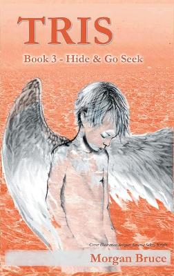 Book cover for Tris 3 - Hide & Go Seek