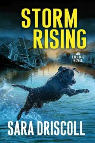 Cover of Storm Rising