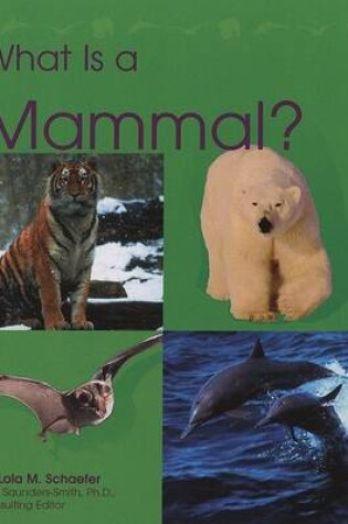 Cover of What Is a Mammal?