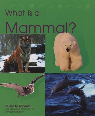 Cover of What Is a Mammal?