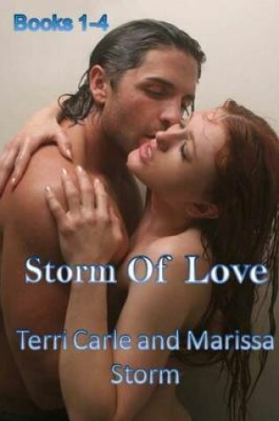 Cover of Storm of Love