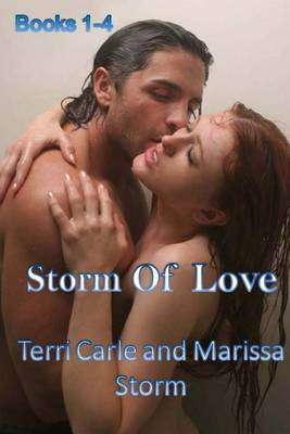 Book cover for Storm of Love