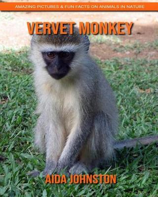 Book cover for Vervet Monkey