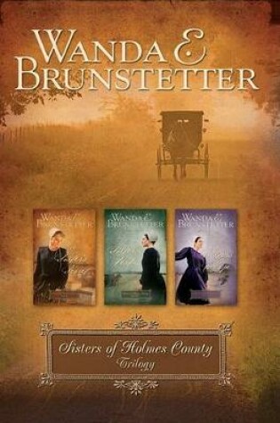 Cover of Sisters of Holmes County