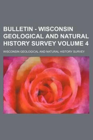 Cover of Bulletin - Wisconsin Geological and Natural History Survey Volume 4