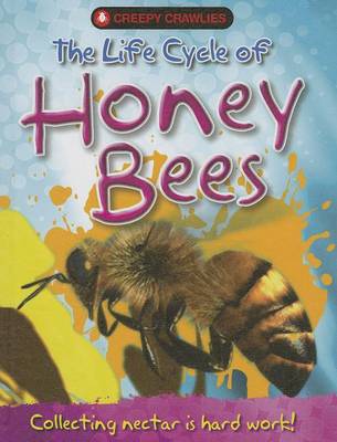 Book cover for The Life Cycle of Honey Bees