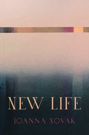 Cover of New Life