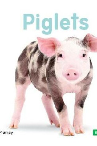 Cover of Piglets