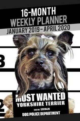 Cover of 2019-2020 Weekly Planner - Most Wanted Yorkshire Terrier (Yorkie)