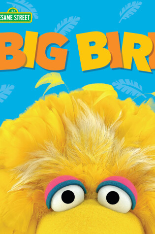 Cover of Big Bird