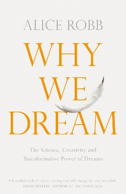 Book cover for Why We Dream