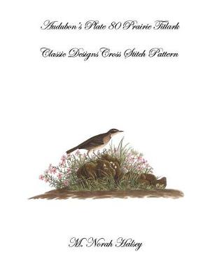 Book cover for Audubon's Plate 80 Prairie Titlark
