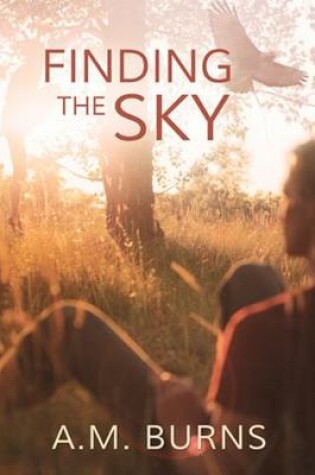 Cover of Finding the Sky