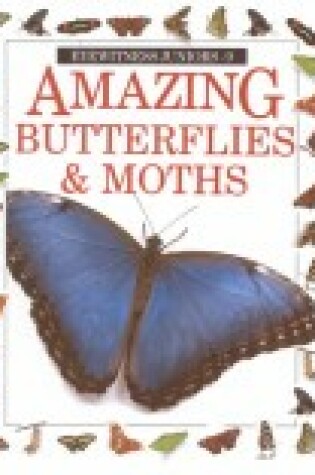 Cover of Amazing Butterflies & Moths