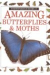 Book cover for Amazing Butterflies & Moths