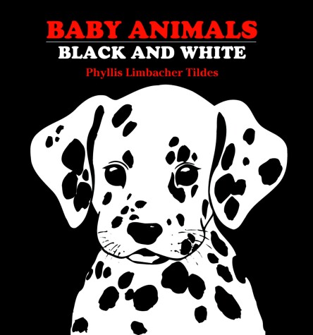 Book cover for Baby Animals Black and White