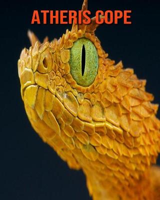 Book cover for Atheris Cope