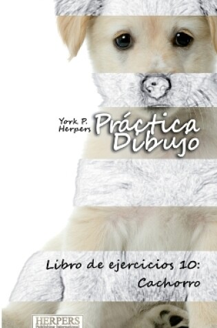 Cover of Práctica Dibujo - Libro de ejercicios 10