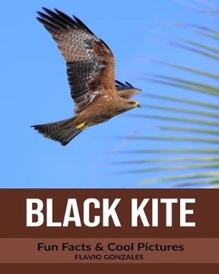 Book cover for Black Kite