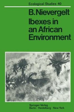 Cover of Ibexes in an African Environment