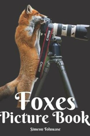 Cover of Foxes Picture Book