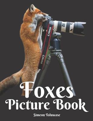 Book cover for Foxes Picture Book