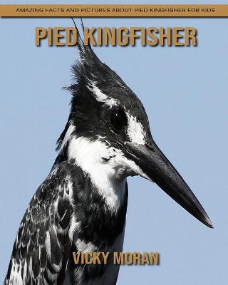 Book cover for Pied Kingfisher