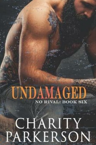 Cover of Undamaged