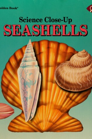 Cover of Seashells