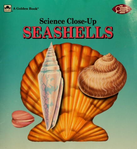 Book cover for Seashells
