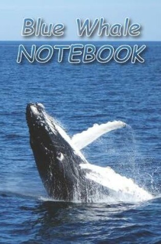 Cover of Blue Whale NOTEBOOK