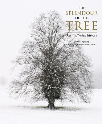 Book cover for The  Splendour of the Tree