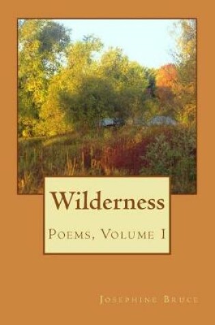 Cover of Wilderness