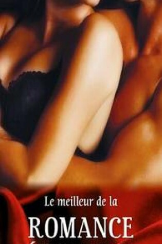 Cover of Le Meilleur de la Romance Erotique