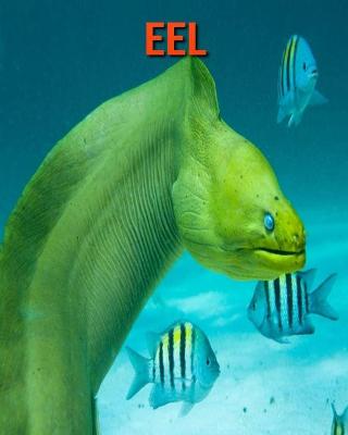 Book cover for Eel