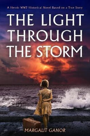 Cover of The Light Through the Storm