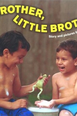 Cover of Big Brother, Little Brother